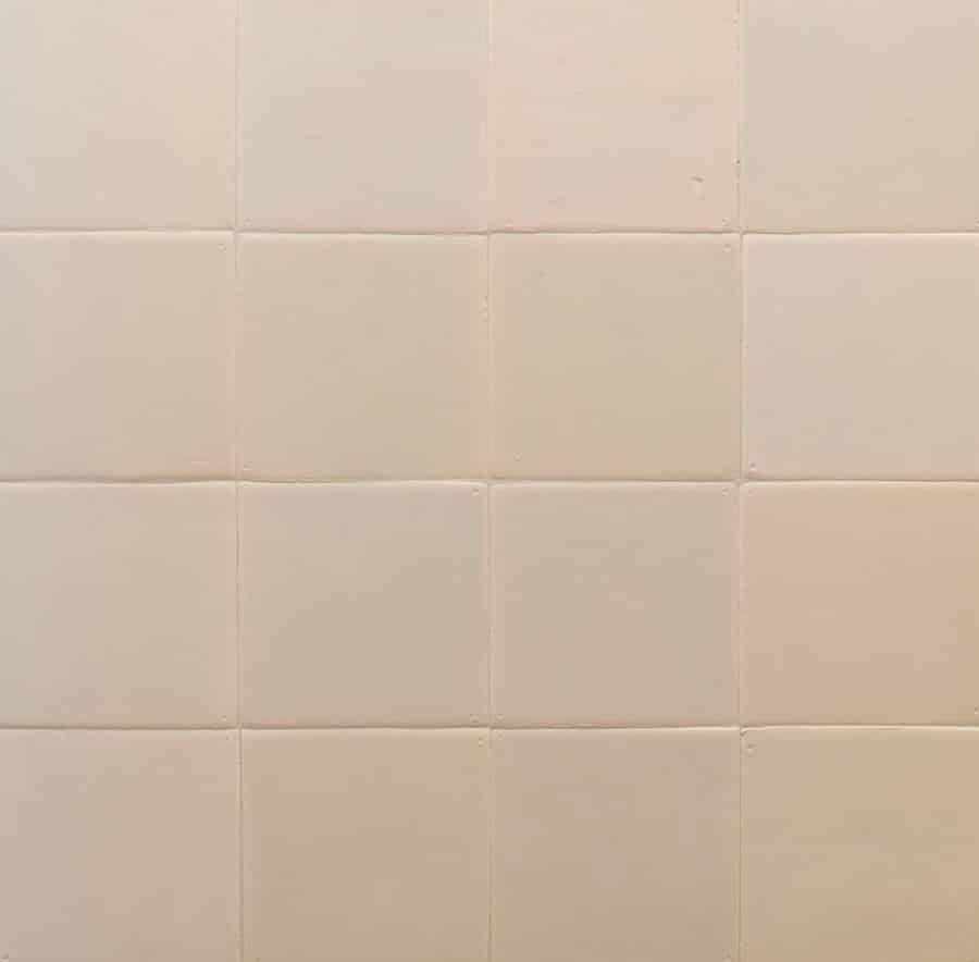 Hollandse-witjes-Achterhuis-mix