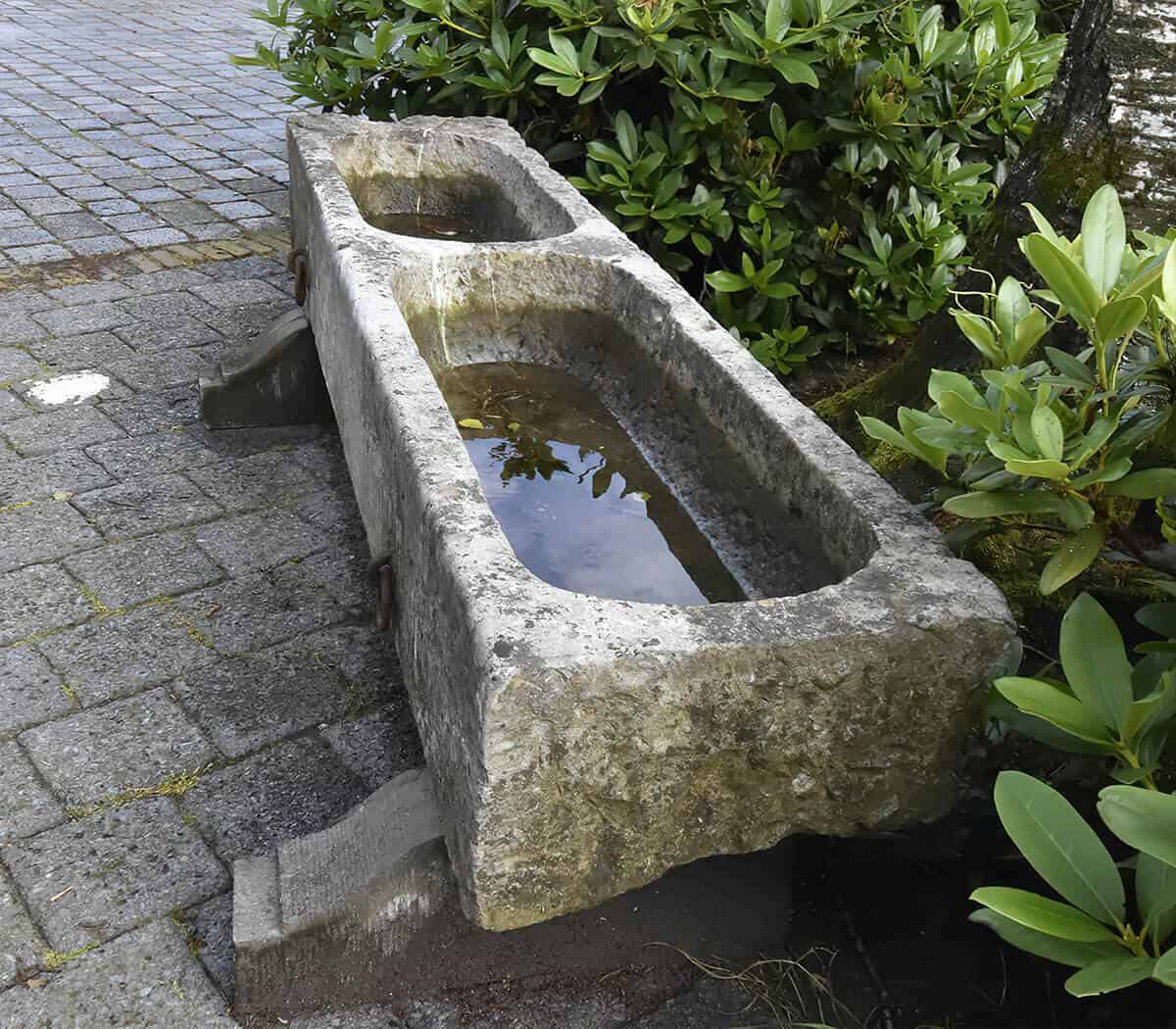Belgisch-hardstenen-trog