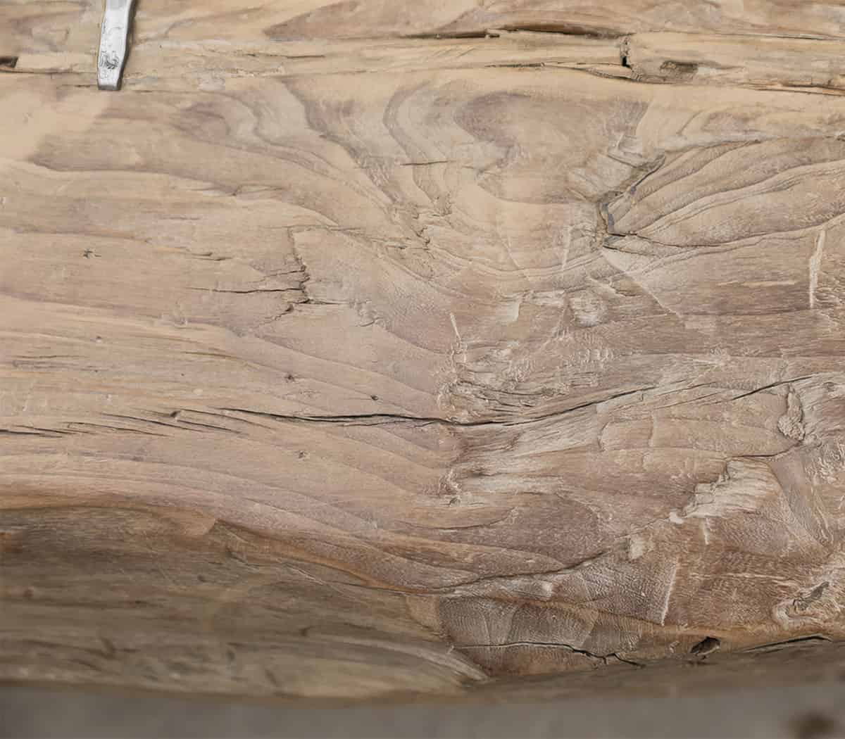 Robuuste-boomstam-bank