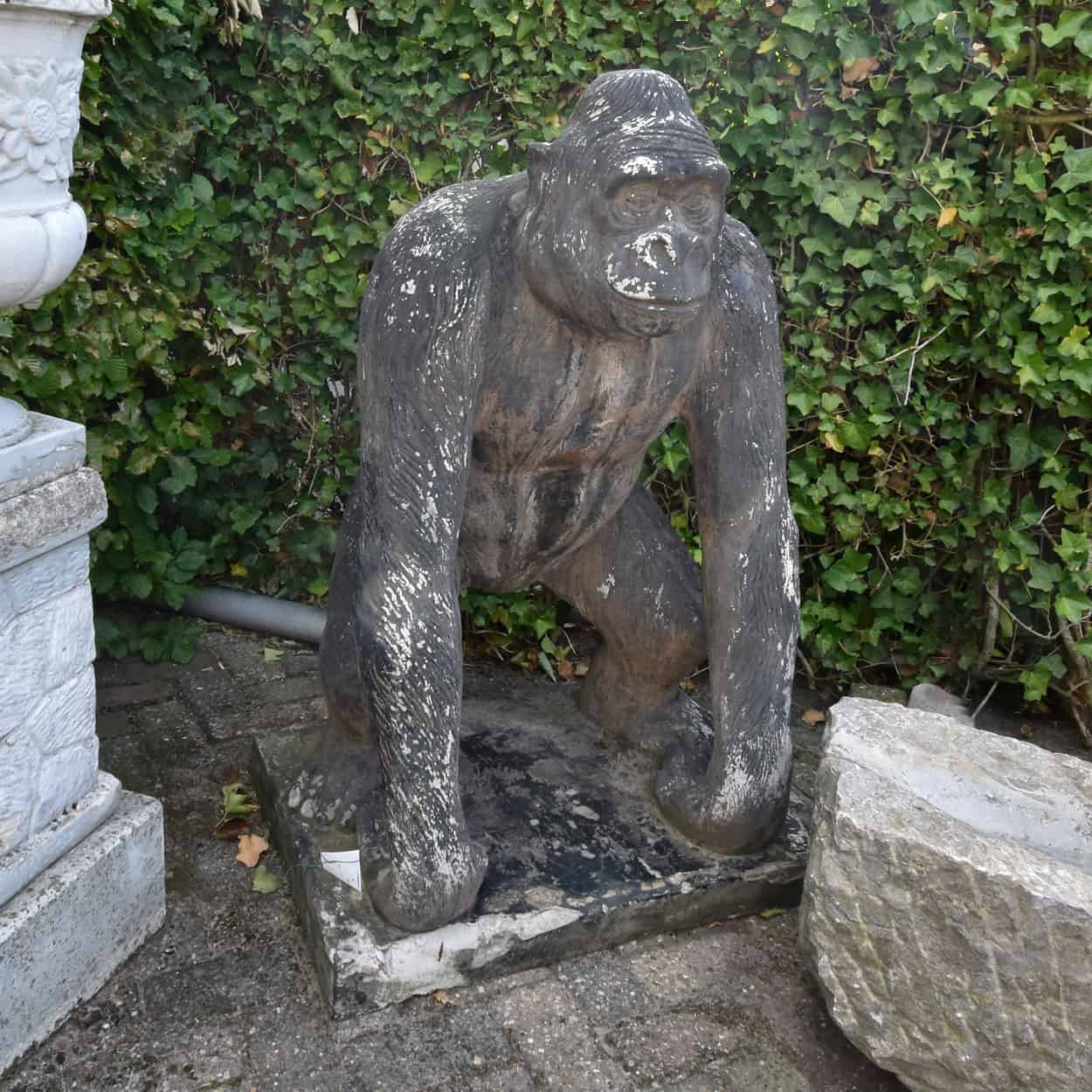 Gorilla