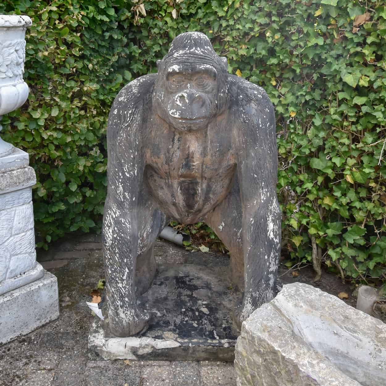Gorilla