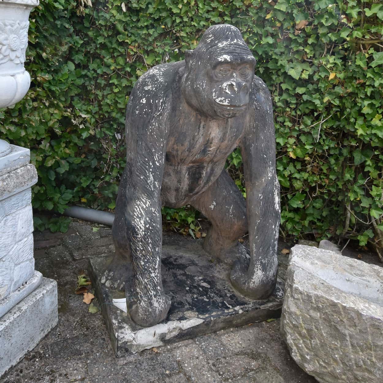 Gorilla