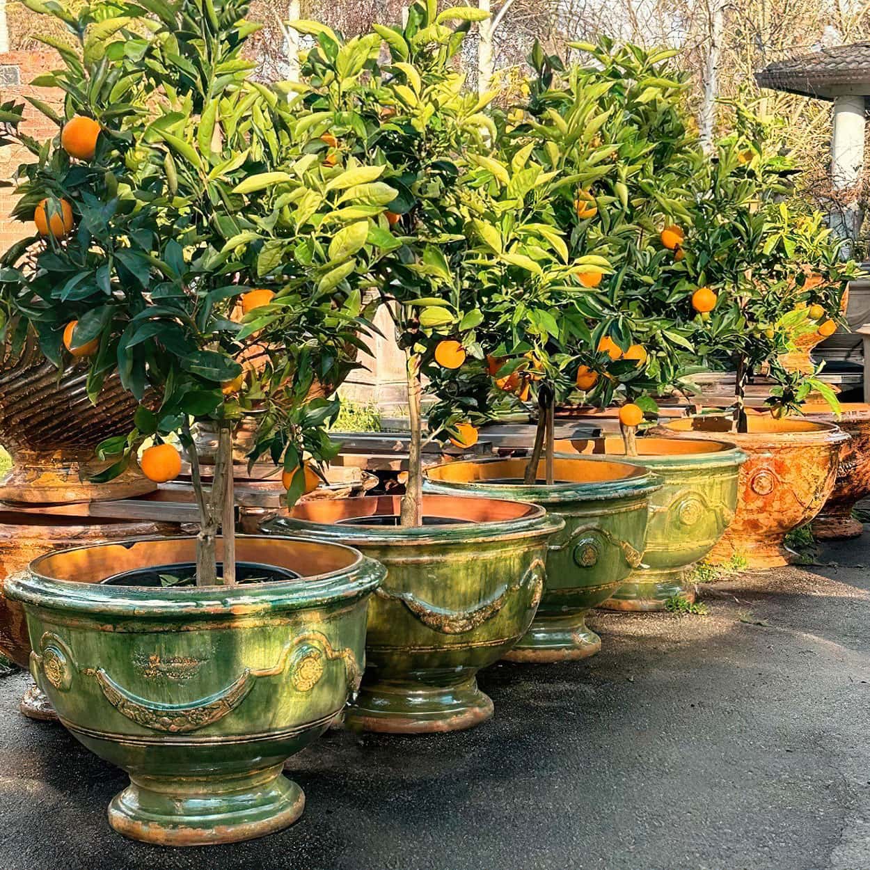 Originele-L-Anduze-pot