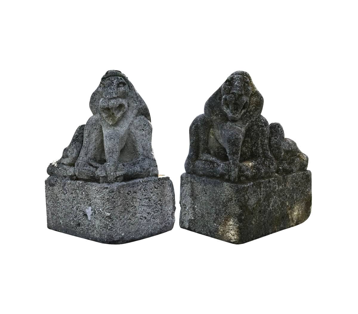 Mooie-set-unieke-beelden