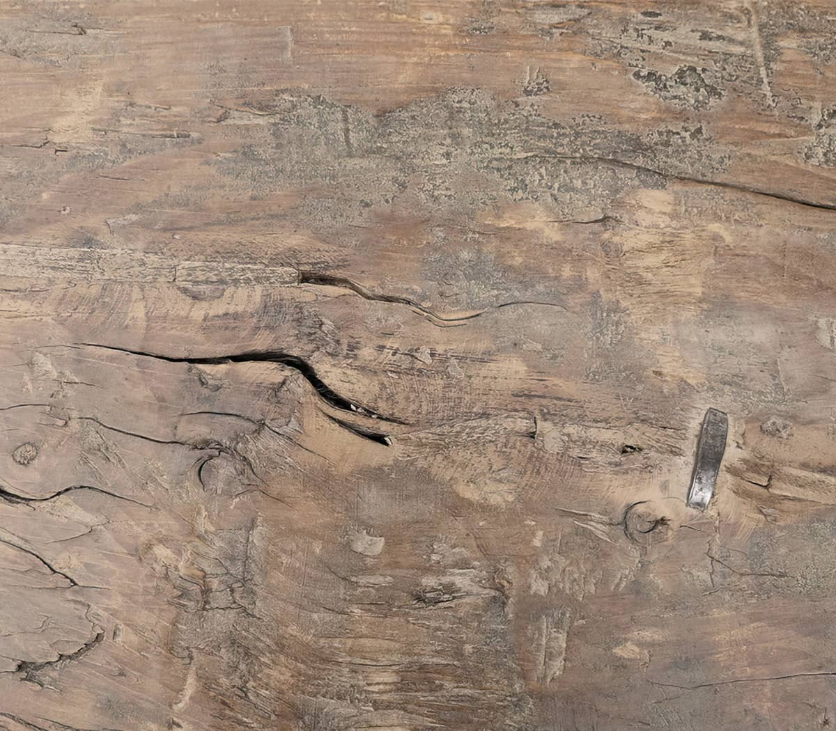 Robuuste-boomstam-bank