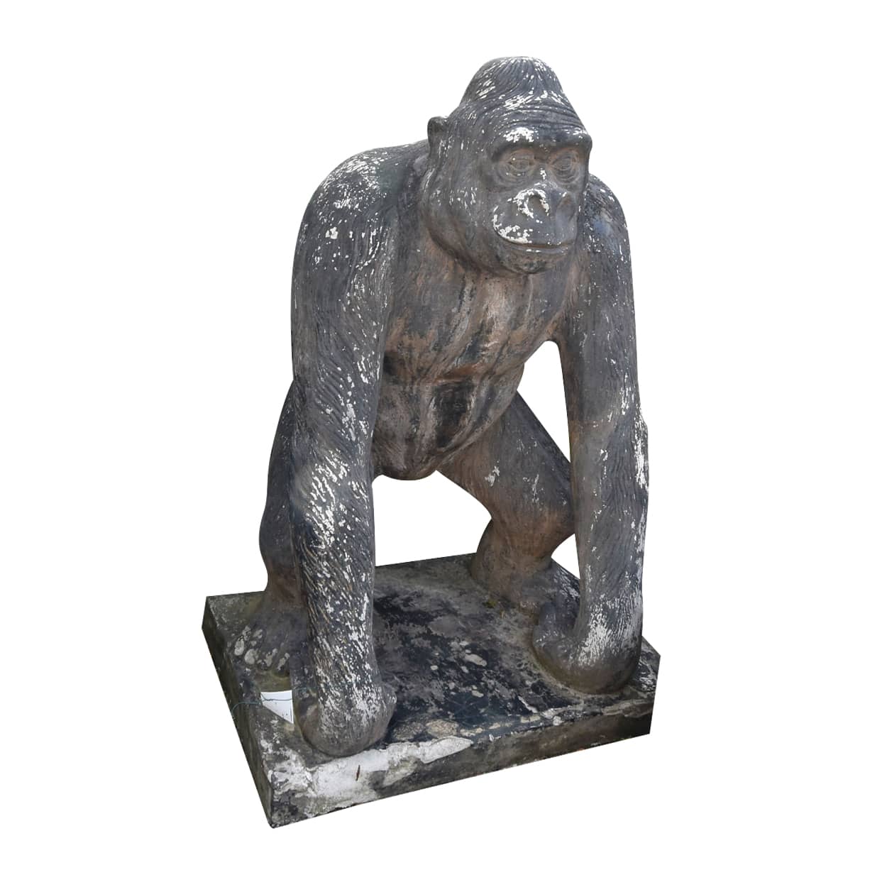 Gorilla