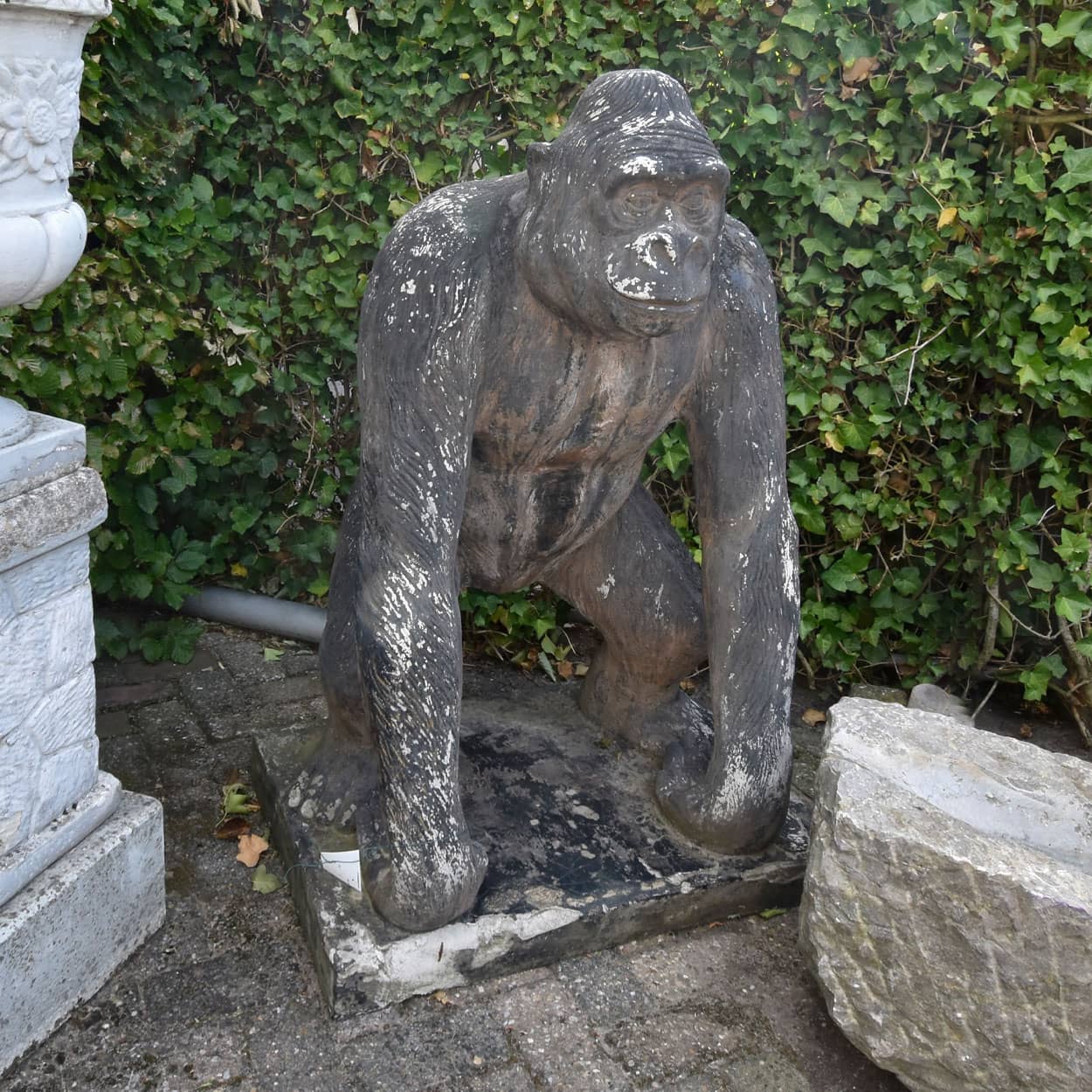 Gorilla
