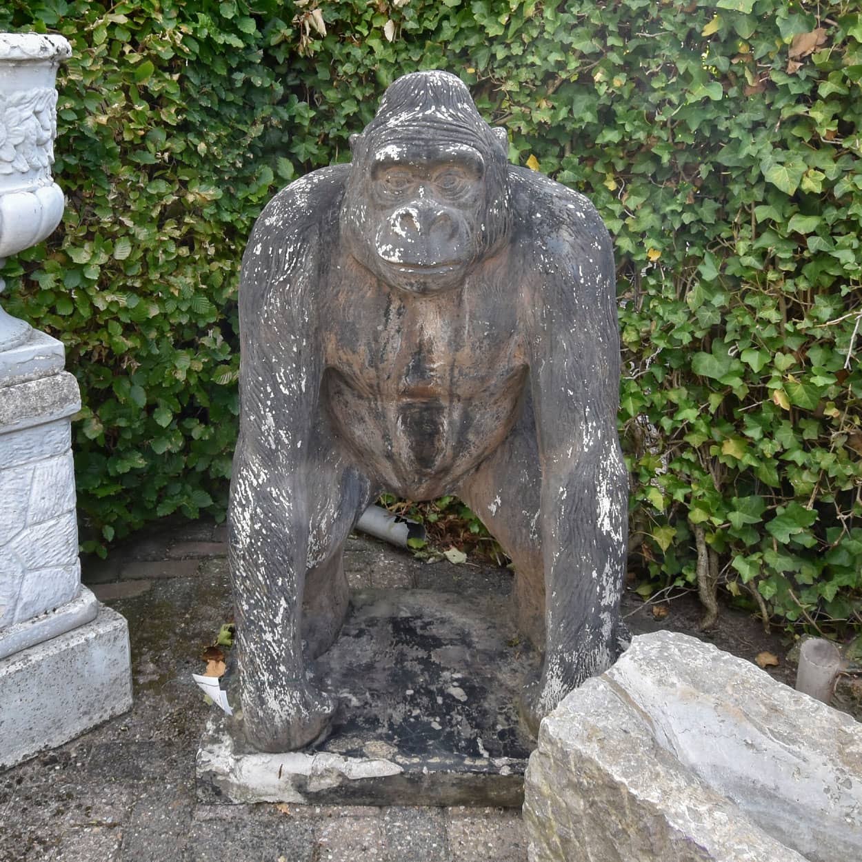 Gorilla