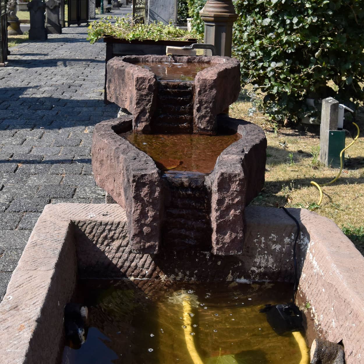 Zandstenen-bak-met-waterornament